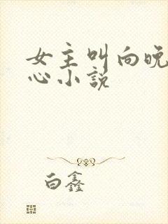 女主叫向晚的虐心小说