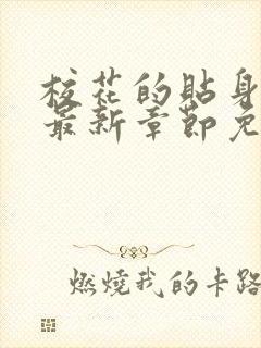 校花的贴身高手最新章节免费阅读封面