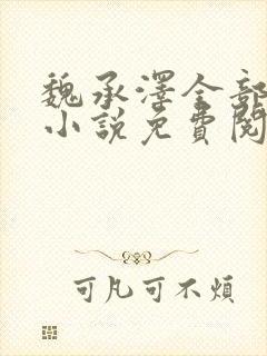 魏承泽全部作品小说免费阅读封面