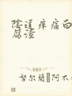 阴道痒痛白带豆腐渣