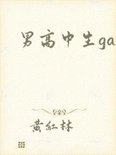 男高中生gay封面