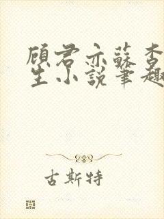 顾君亦苏杳国防生小说笔趣阁免费