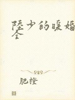 陆少的暖婚新妻全