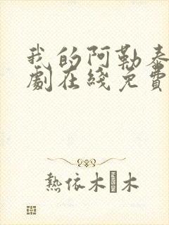 我的阿勒泰电视剧在线免费观看封面