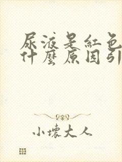 尿液是红色的是什么原因引起的