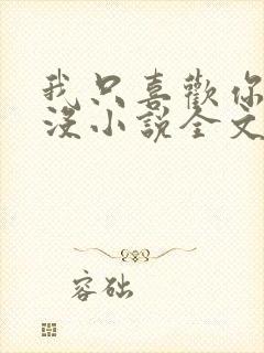 我只喜欢你的人没小说全文免费阅读封面