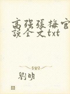 高强张梅官场小说全文txt
