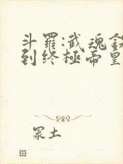 斗罗:武魂铁块到终极帝皇铠甲