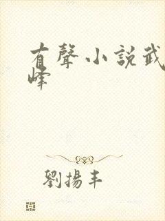 有声小说武炼巅峰