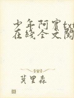 少年阿宾txt在线全文阅读