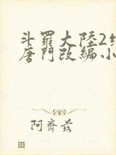 斗罗大陆2绝世唐门改编小说封面