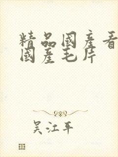 精品国产看高清国产毛片