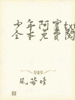 少年阿宾txt全本免费阅读