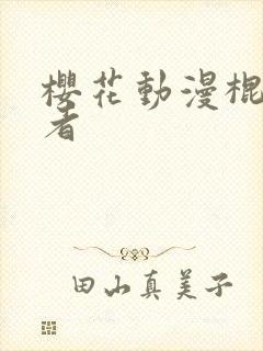 樱花动漫棍之勇者