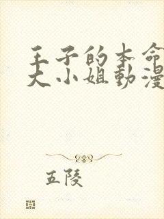 王子的本命恶役大小姐动漫