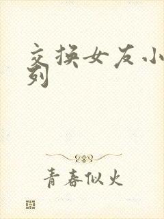 交换女友小说系列