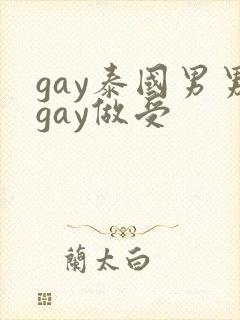 gay泰国男男gay做受