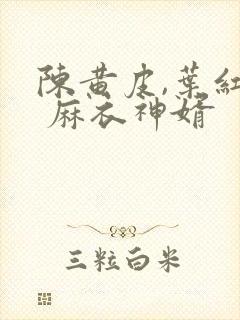 陈黄皮,叶红鱼 麻衣神婿
