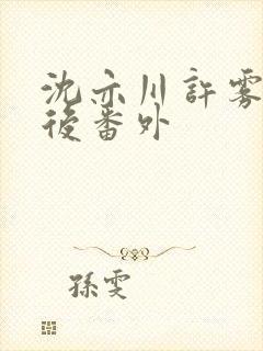 沈亦川许雾结局后番外