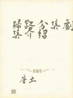 归路分集剧情分集介绍封面