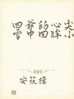 四爷的心尖宠妃雪中回眸小说精校版全集txt封面