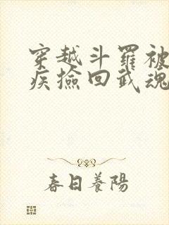 穿越斗罗被千寻疾捡回武魂殿封面