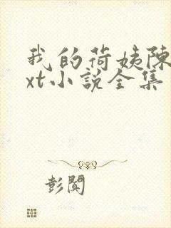 我的荷姨陈东txt小说全集