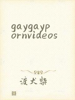 gaygaypornvideos