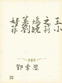 好莱坞之王刘亦菲刘晓莉小说