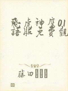 飞虎神鹰01国语版免费观看