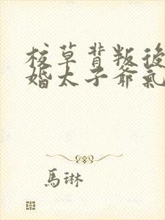 校草背叛后我闪婚太子爷气疯他苏念笙小说