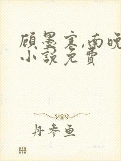 顾墨寒,南晚烟小说免费