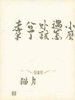 老公外遇小三怀孕了该怎么处理