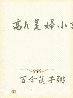 高h美妇小说