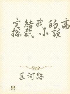 完结我的高冷女总裁 小说