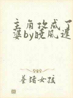 主角攻成了我老婆by晓风迟免费阅读封面