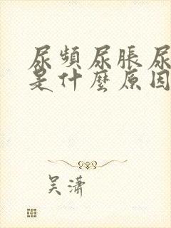 尿频尿胀尿不尽是什么原因造成的封面