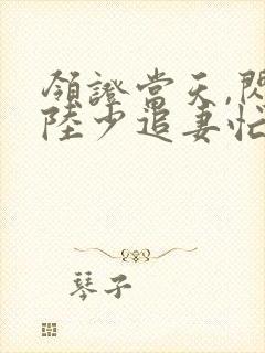 领证当天,闪婚陆少追妻忙