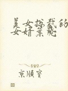 美女总裁的上门女婿叶飞