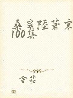 桑宁陆萧寒短剧100集
