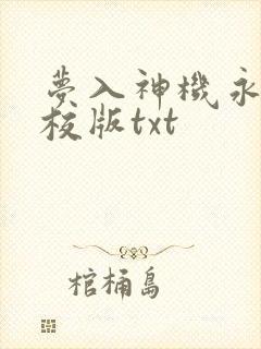 梦入神机永生精校版txt