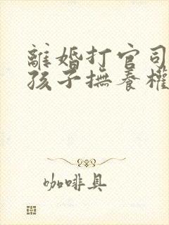 离婚打官司争夺孩子抚养权