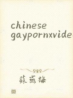 chinesegaypornxvideos