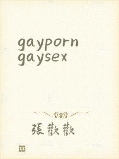 gayporngaysex