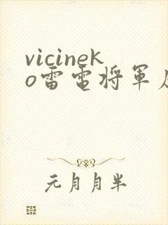 vicineko雷电将军原神同人