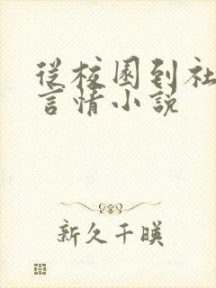从校园到社会的言情小说