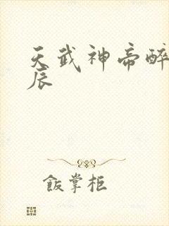 天武神帝醉梦星辰封面