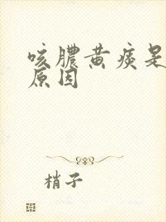 咳脓黄痰是什么原因