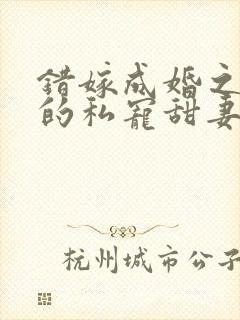 错嫁成婚之总裁的私宠甜妻