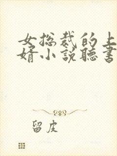 女总裁的上门龙婿小说听书全集免费